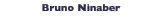 www.Ninaber.nl